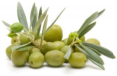 Olives vertes deco copie